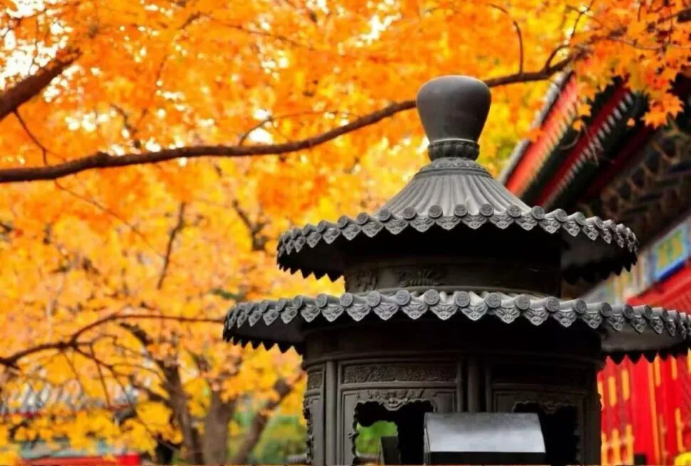 Fragrant Hills Park,Beijing,Chinatour Ornate metal pagoda lantern with autumn orange leaves in the background at a temple. ̌