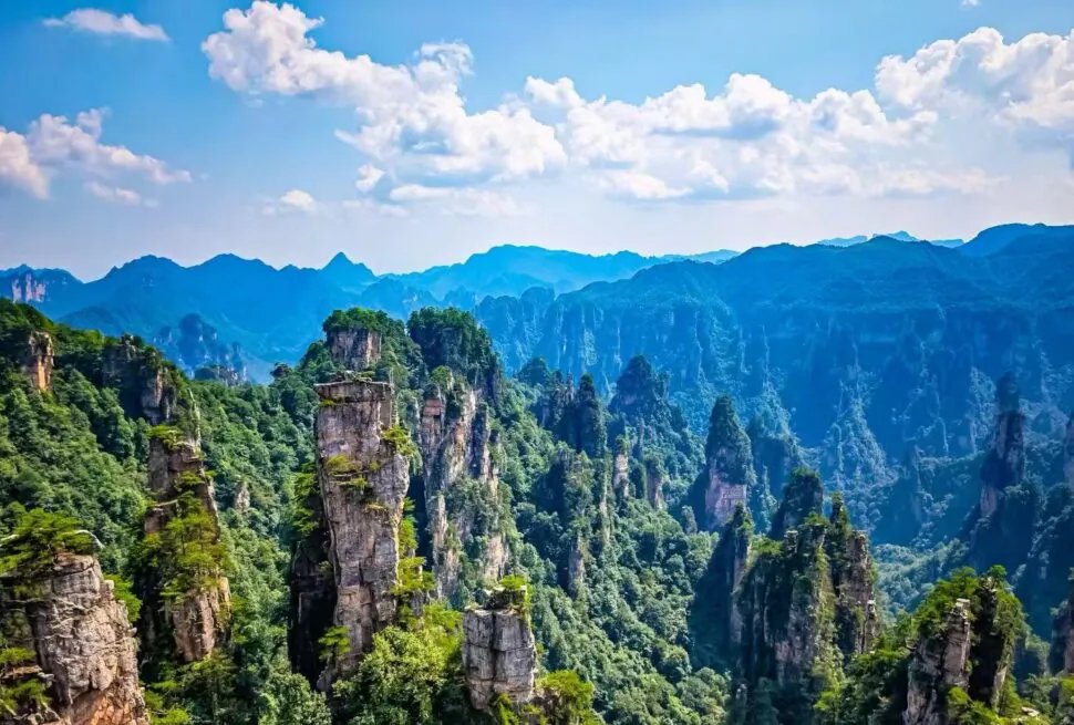 Yuanjiajie Avatar Mountains,Zhangjiajie,Chinatour Towering sandstone pinnacles covered in green trees rise in a mountainous valley under a blue sky with fluffy clouds.