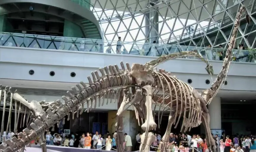 Shanghai Science & Technology Museum Ticket Guide for First-Time Visitors