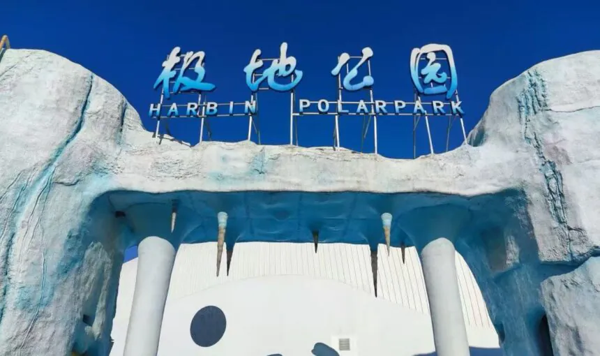 Your Complete Guide to Visiting Harbin Polarland