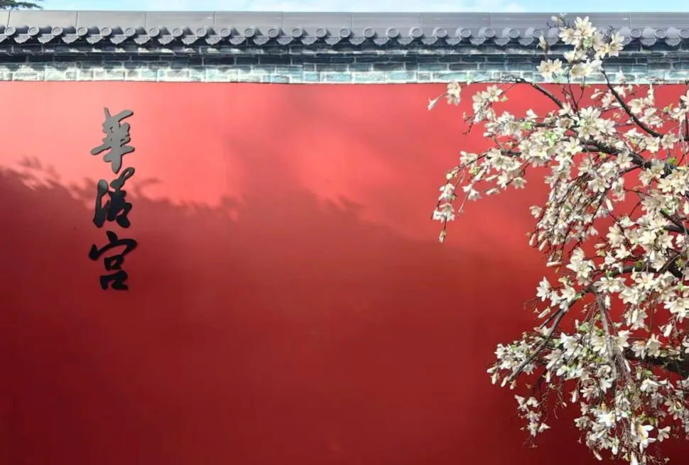Huaqing Hot Springs and Ancient Baths,X`an,Chinatour Red wall with black Chinese calligraphy on the left and white blossoms on a flowering tree on the right, with a tiled roof above.
