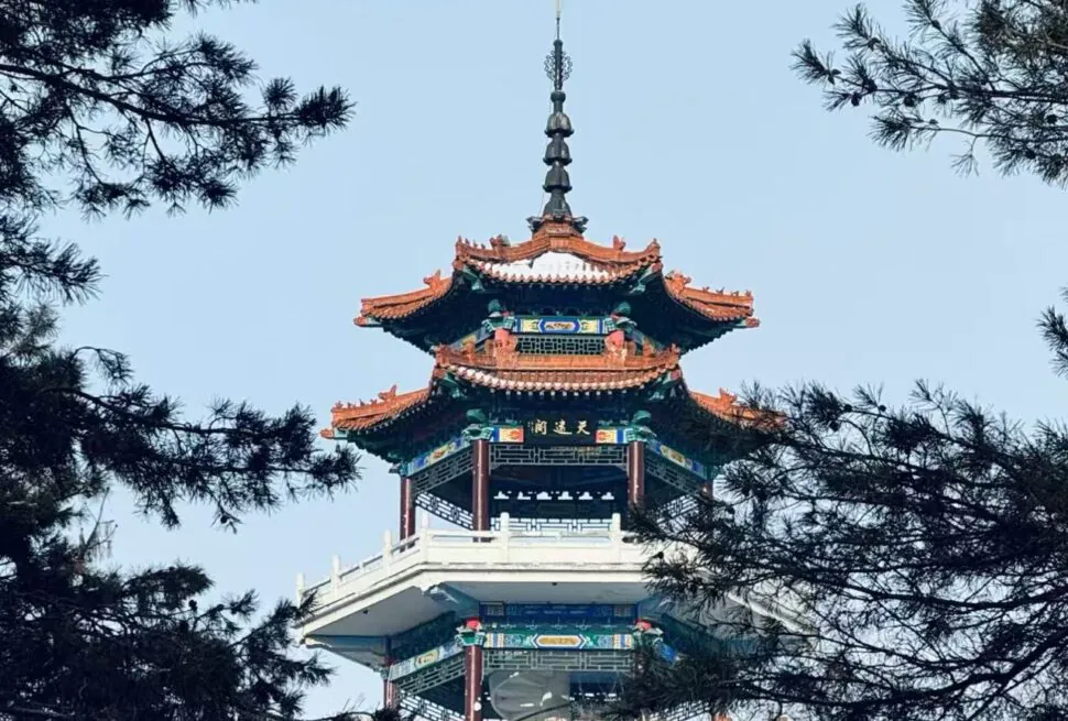 Traditional multi-tier Chinese pagoda with ornate red-and-green roof, framed by pine branches against a blue sky.