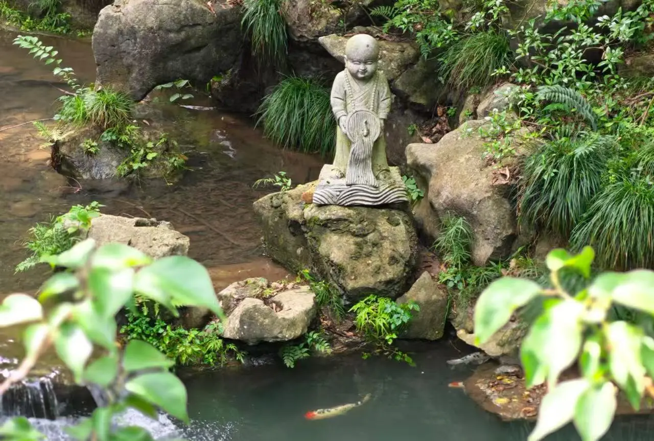 Lingyin Temple ,Hangzhou,Chinatour Stone statue of a small monk standing on a rock beside a koi pond, surrounded by green plants and rocks in a tranquil garden scene with a swimming fish nearby.