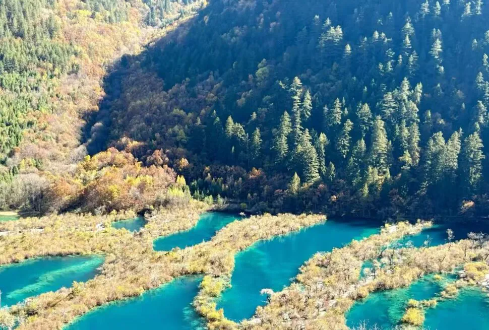 Aerial view of a turquoise river winding through a forested canyon with autumn-colored foliage on the hillsides.