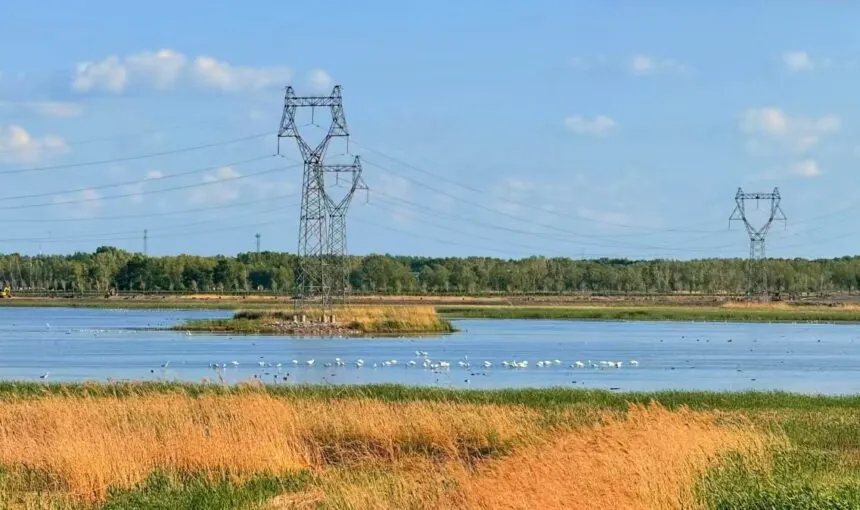 Heilongjiang Longfeng Wetland Park Top 3 Outdoor Activities
