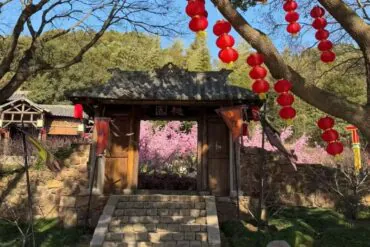Traditional wooden gate with stone steps, red lanterns hanging from a tree, pink blossoms in the background.