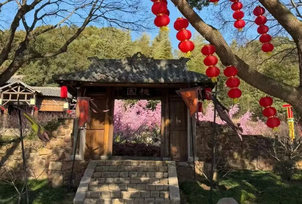 Traditional wooden gate with stone steps, red lanterns hanging from a tree, pink blossoms in the background.