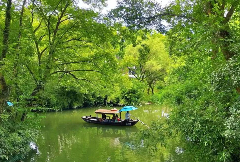Xixi National Wetland Park,Hangzhou,Chinatour A wooden boat with a blue umbrella carries passengers along a calm, green river surrounded by lush trees and foliage.