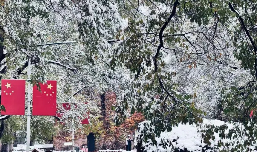 Heilongjiang’s Hidden Gem: How to Enjoy Saertu Forest Park in Daqing