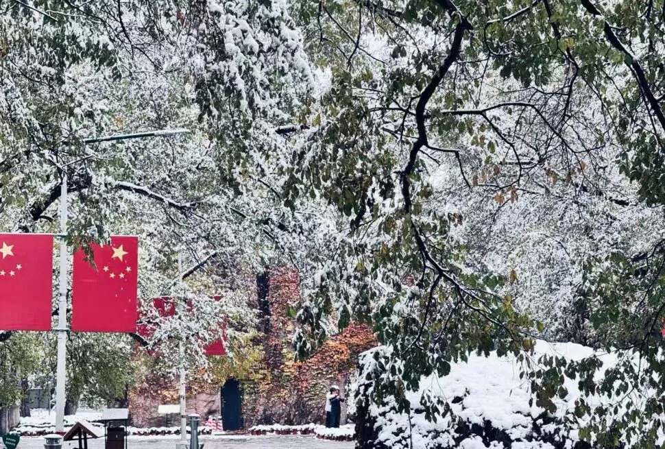 Saertu Forest Park,Daqing,Chinatour Snow-covered trees in a park with red flags showing yellow stars in the background; a person walks in the distance.