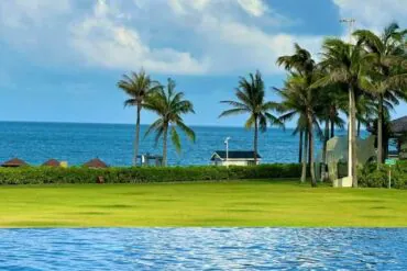 Poolside view at a tropical resort with a green lawn, palm trees, and a blue ocean beyond the hedges.