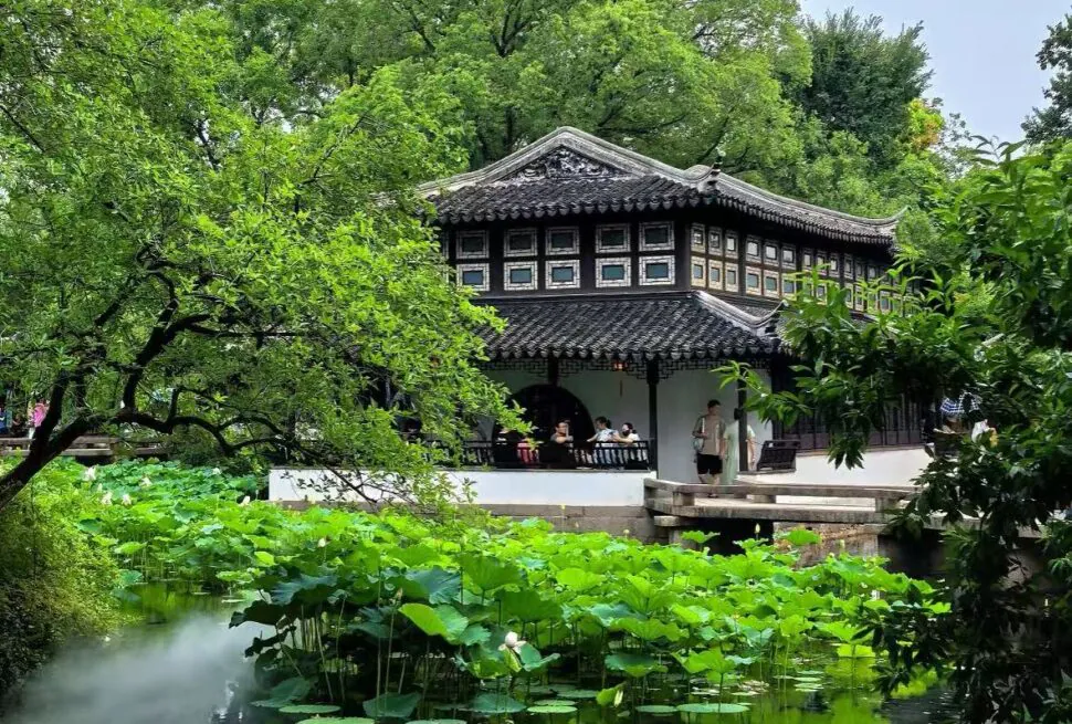 Traditional Chinese pavilion by a koi pond with lotus leaves, surrounded by lush greenery and a wooden bridge.