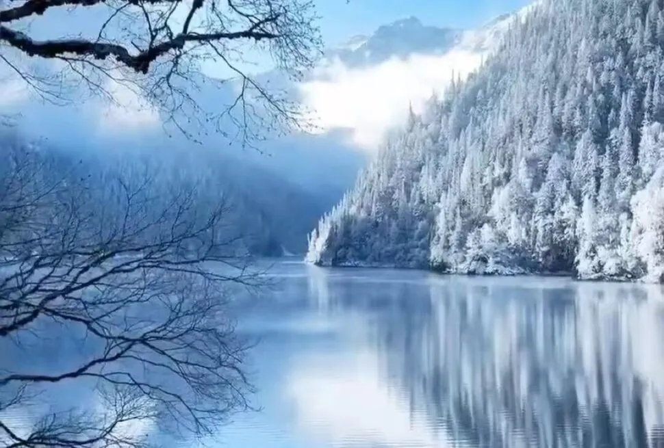 Bipenggou,Western Sichuan,Chinatour Snow-covered forested mountainside reflected in a calm lake under a blue sky.