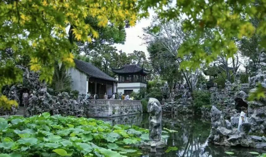 Your Essential Guide to Suzhou Lion Grove Garden
