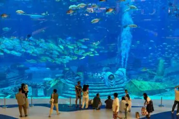 Visitors observe a large blue aquarium tank filled with a school of fish and a decorative sunken ship centerpiece behind the glass.