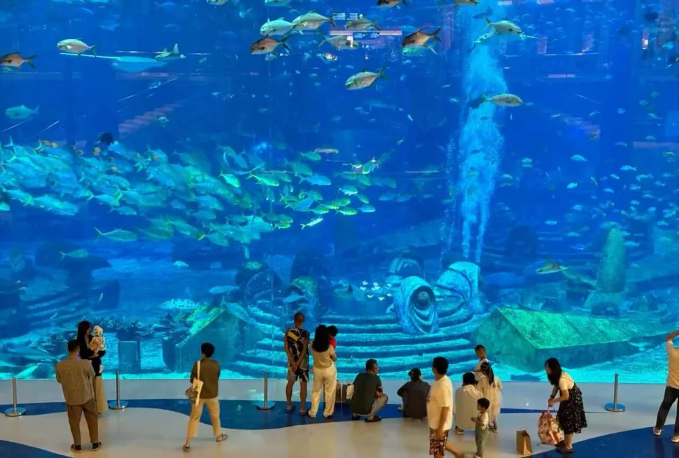 Visitors observe a large blue aquarium tank filled with a school of fish and a decorative sunken ship centerpiece behind the glass.