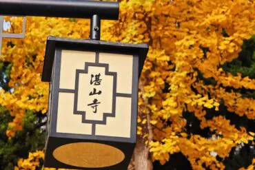 Zhanshan Temple,Qingdao,Chinatour Japanese-style hanging lantern with kanji inscription, set against bright autumn yellow leaves.