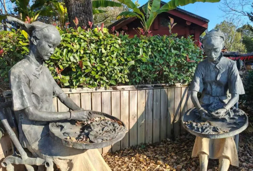 Wuyi Tea Expo Park,Nanping,Chinatour Two life-size stone statues of women in traditional outfits, each holding a round tray filled with rocks, set in a garden with a wooden fence and leafy plants behind them