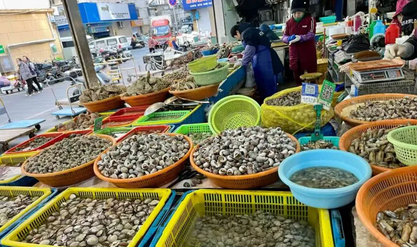 Essential Guidelines for Safe Seafood Shopping at Zhoushan Donghe Market