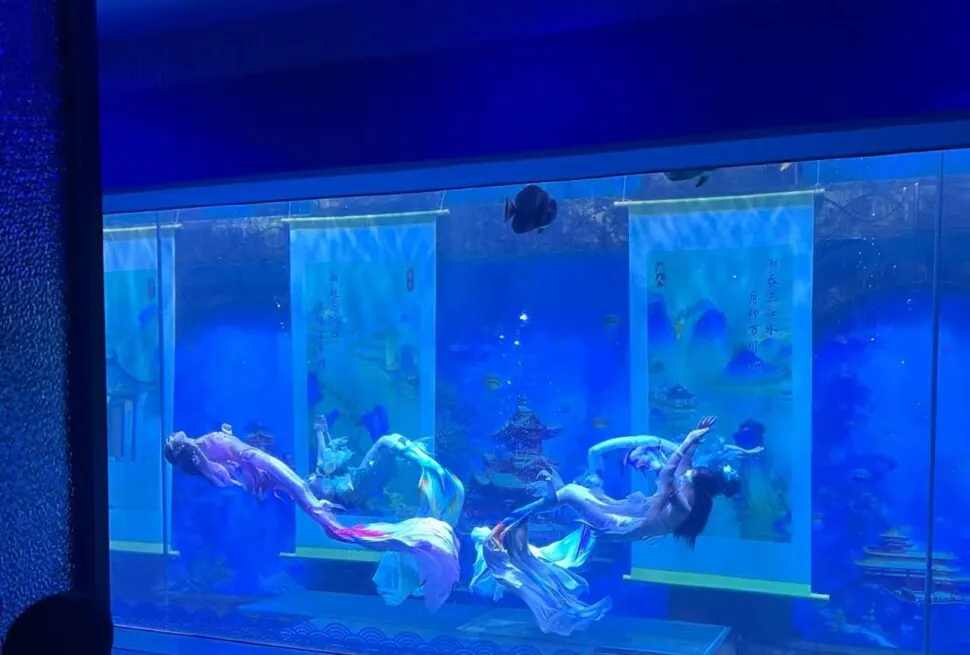 Ningbo Ocean World ,Ningbo,Chinatour Blue-toned aquarium scene with synchronized dancers in flowing costumes floating underwater inside a glass tank amidst banners and koi imagery.