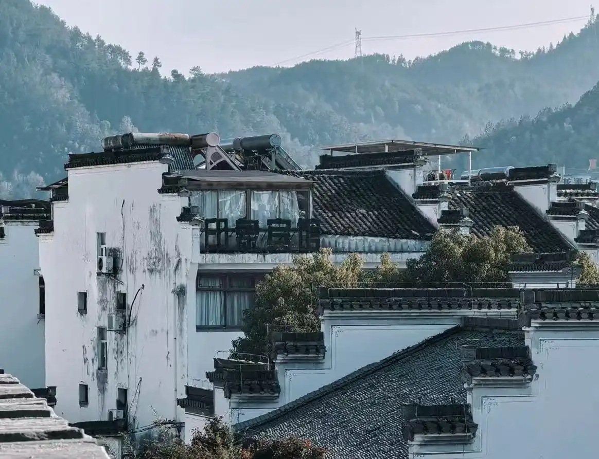Huizhou Architecture Clusters,Huangshan,Chinatour White-walled houses with dark tiled roofs clustering on a hillside, with trees in front and forested mountains behind them.
