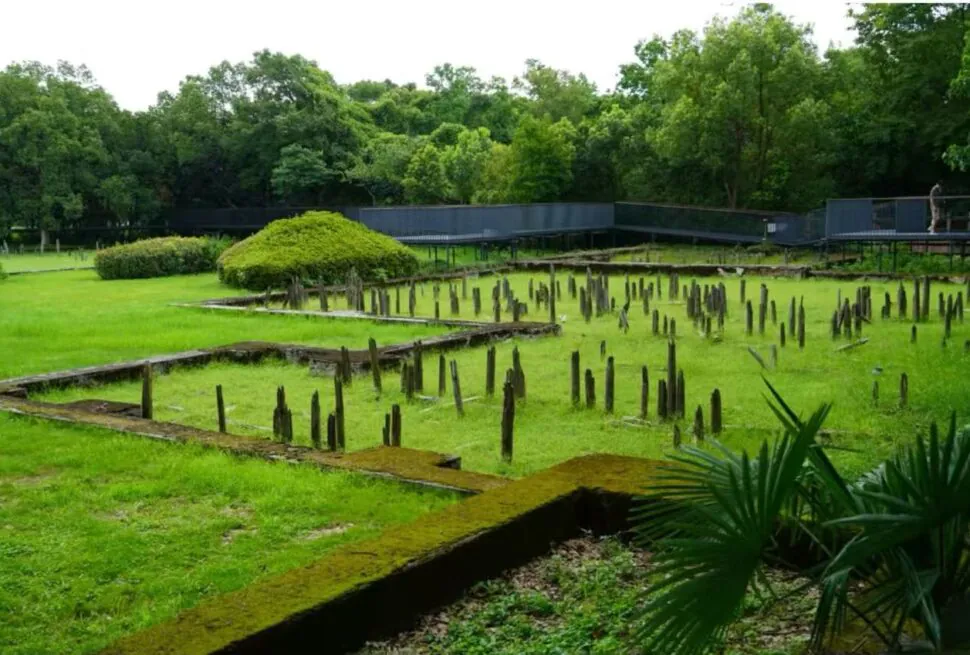 Hemudu Site Museum,Ningbo,Chinatour Ruin site with moss-covered rectangular stone foundations and vertical wooden posts set in a grassy field, with trees in the background and a walkway.