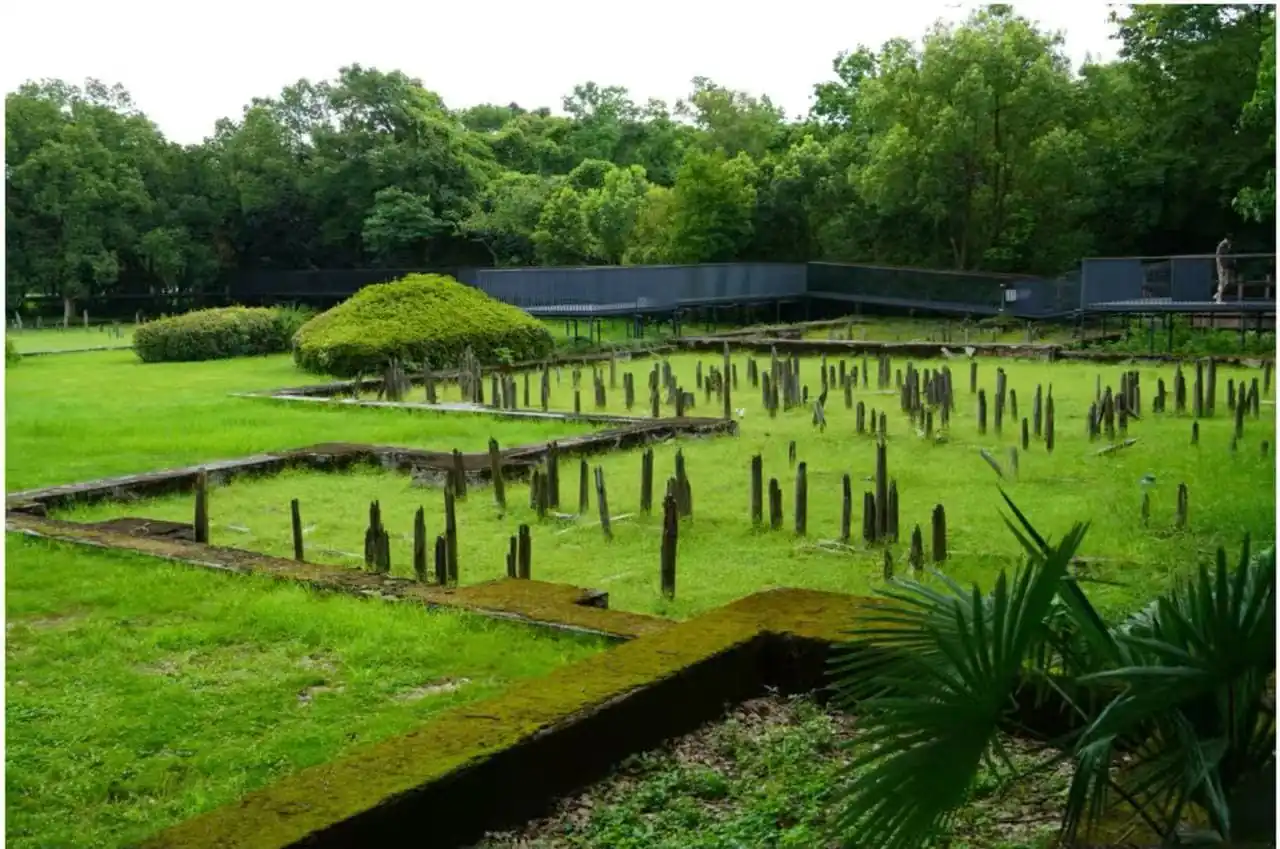 Hemudu Site Museum,Ningbo,Chinatour Ruin site with moss-covered rectangular stone foundations and vertical wooden posts set in a grassy field, with trees in the background and a walkway.