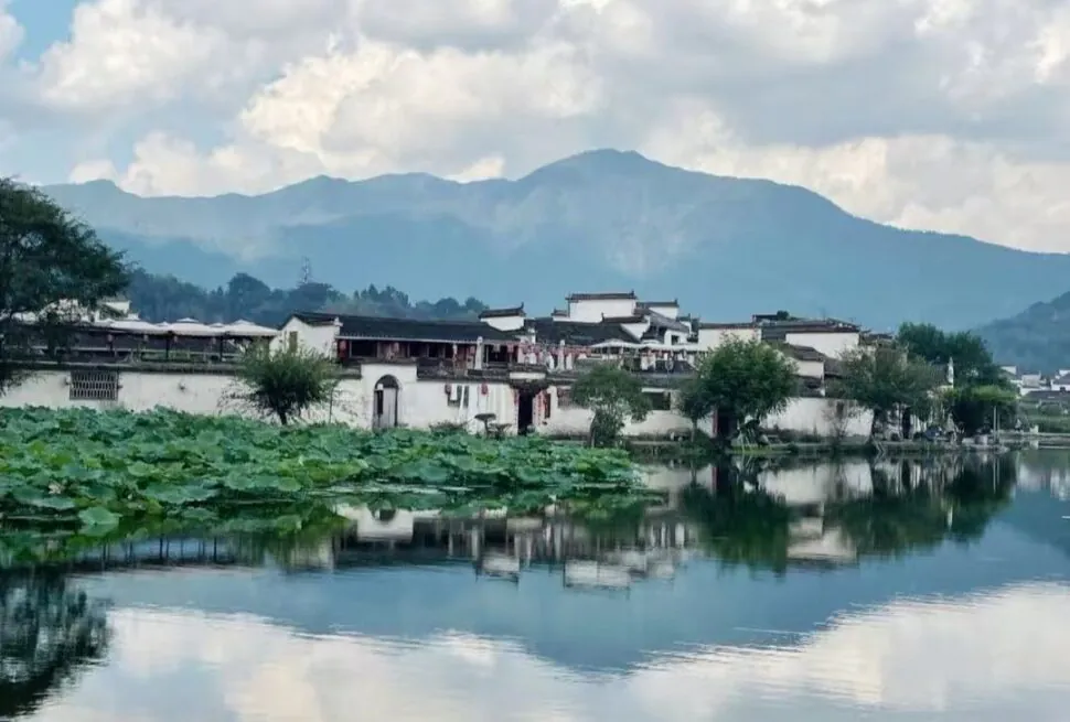 Tranquil riverside village with white-walled houses, a lotus-covered pond, and misty mountains in the background.