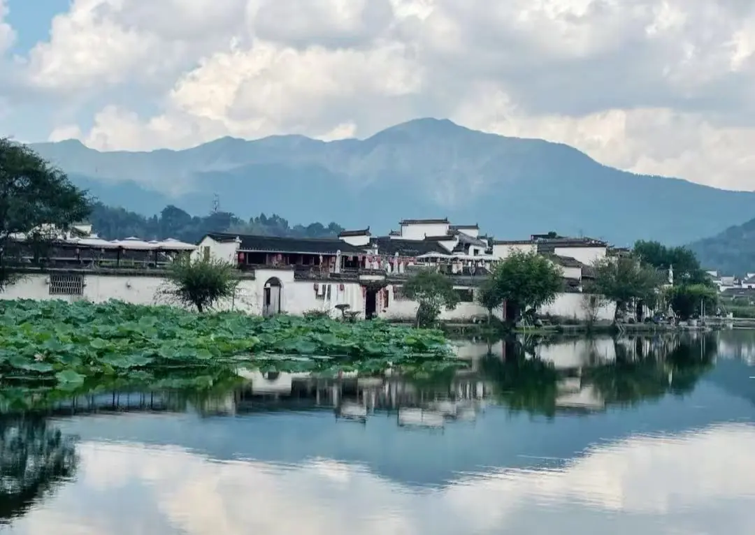 Hongcun & Xidi Villages,Huangshan,Chinatour Tranquil riverside village with white-walled houses, a lotus-covered pond, and misty mountains in the background.