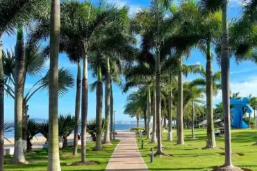 Island Ring Road,Xiamen,Chinatour Palm-lined promenade with a paved path by the beach, leading toward the ocean under a blue sky.