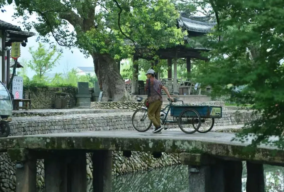 Man pushes a blue cargo tricycle across a stone-bridge over a canal, with trees and a pavilion in the background.