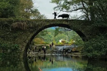 Stone arched bridge over a calm river, with people on the rocks beneath and a person guiding a water buffalo across the top, surrounded by trees and reflections in the water.Wuyuan Ancient Villages,Shangrao,Jiangxi,Chinatravel