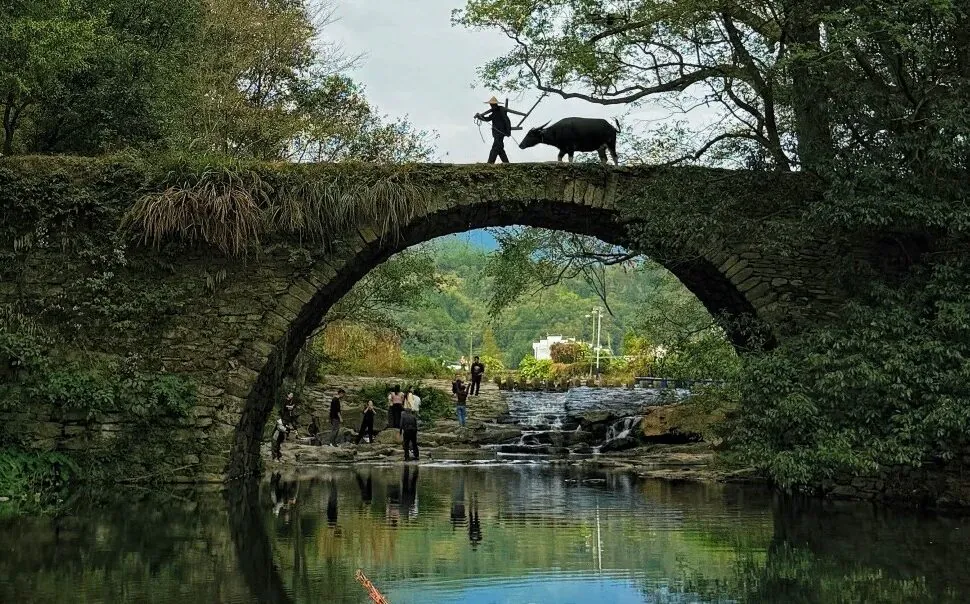 Stone arched bridge over a calm river, with people on the rocks beneath and a person guiding a water buffalo across the top, surrounded by trees and reflections in the water.Wuyuan Ancient Villages,Shangrao,Jiangxi,Chinatravel