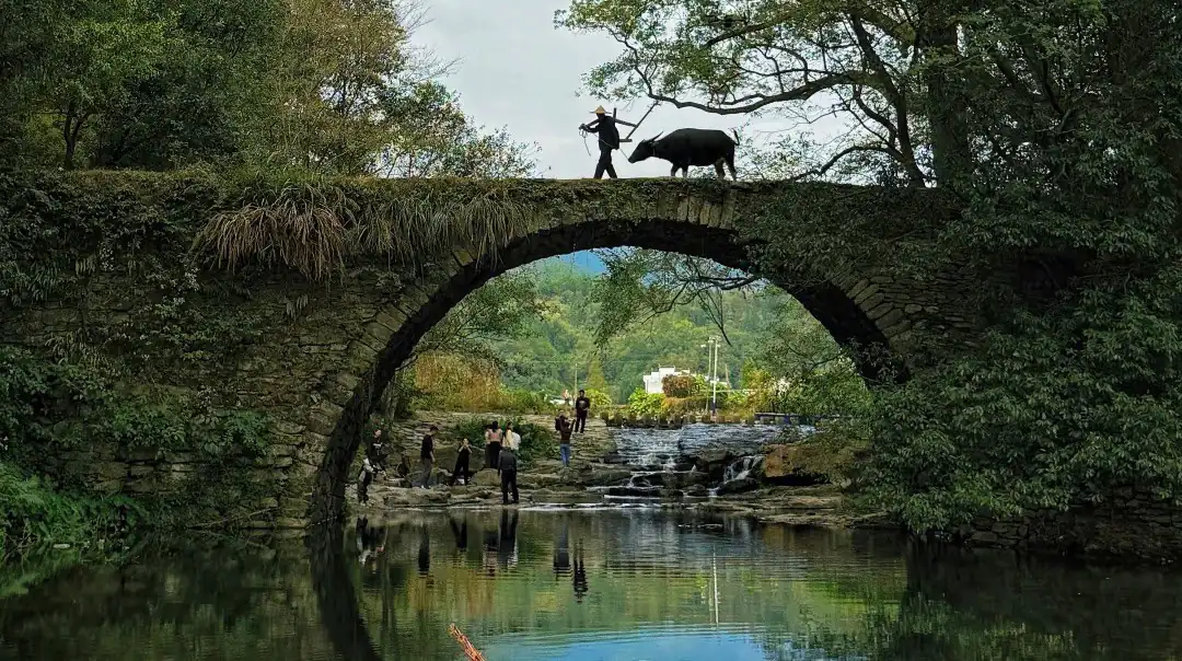 Stone arched bridge over a calm river, with people on the rocks beneath and a person guiding a water buffalo across the top, surrounded by trees and reflections in the water.Wuyuan Ancient Villages,Shangrao,Jiangxi,Chinatravel