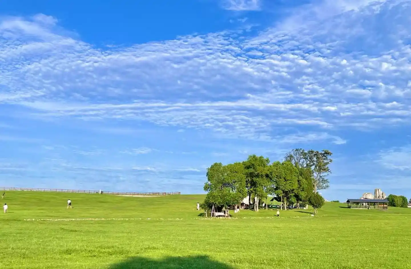 Open green park with a cluster of trees and a small shelter on the right under a bright blue sky with scattered clouds.Mulan Grassland Area,Wuhan,Hubei ,Chinatravel