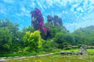 Rocky pinnacles covered with purple vines rise behind a lush garden and a pond with lily pads.Seven Star Park,Guilin,Guangxi ,Chinatravel