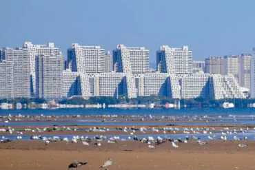 City skyline with tall white apartment buildings along a shoreline, seagulls on the sandy beach in the foreground.Pigeon Nest Park,Qinhuangdao,Hebei,Chinatravel