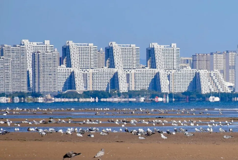 City skyline with tall white apartment buildings along a shoreline, seagulls on the sandy beach in the foreground.Pigeon Nest Park,Qinhuangdao,Hebei,Chinatravel