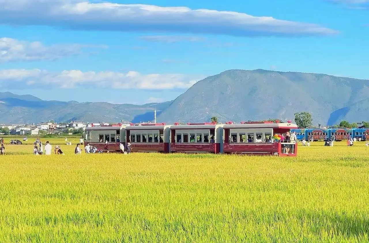 Train cars sit across a golden field with people nearby and distant mountains under a blue sky.Xizhou and Zhoucheng Bai Villages,Dali,Yunnan,Chinatravel