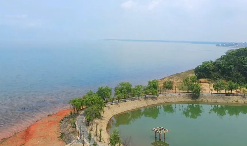 Discover the Best of Shangrao Poyang Lake National Wetland Park