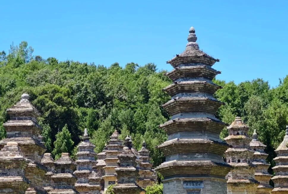 Group of ancient stone pagodas in a leafy grove under a clear blue sky. (informative)Shaolin Temple Pagoda Forest,Shaolin & Songshan Area,Henan,Chinatravel