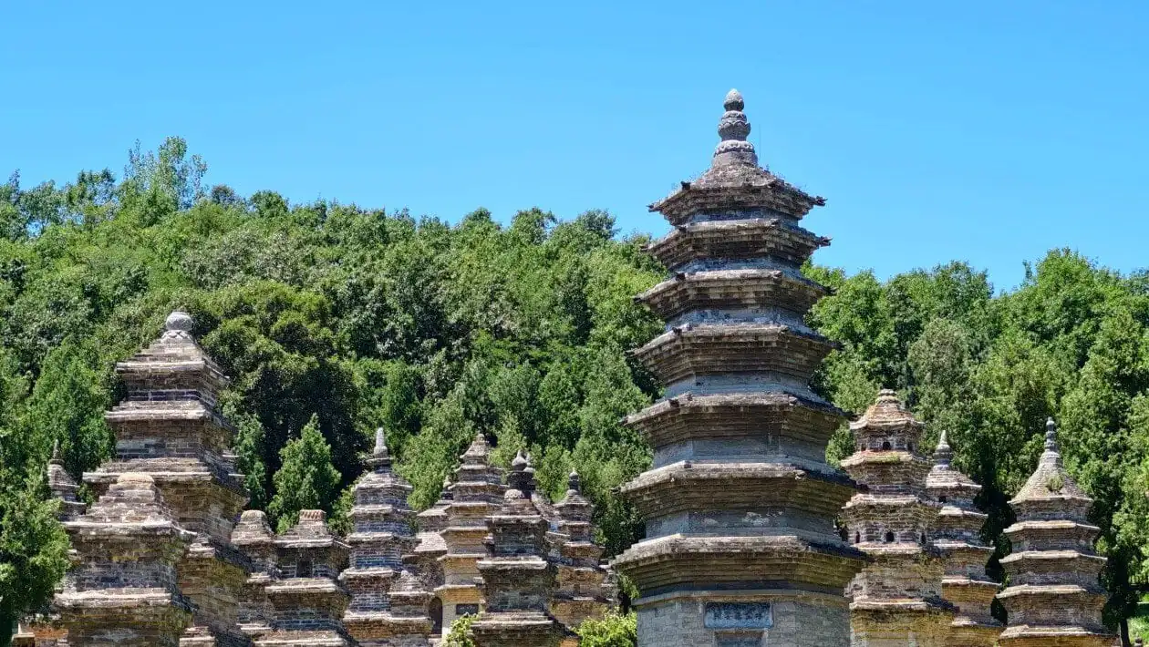 Group of ancient stone pagodas in a leafy grove under a clear blue sky. (informative)Shaolin Temple Pagoda Forest,Shaolin & Songshan Area,Henan,Chinatravel