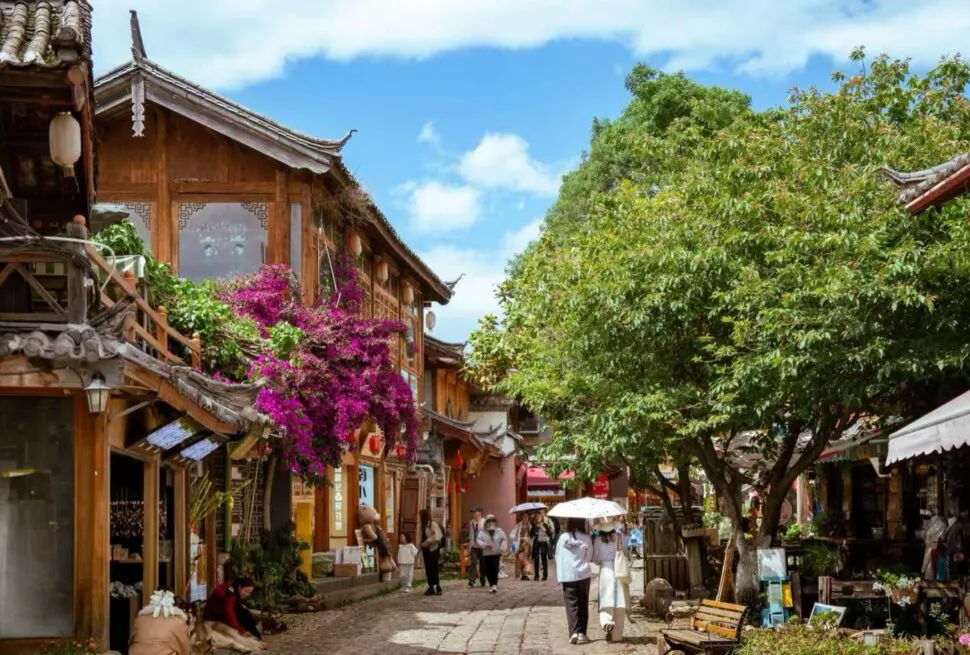 Cobblestone street lined with traditional wooden shops, vivid purple bougainvillea, and green trees on a sunny day, with people strolling.Shuhe Ancient Town,Lijiang,Yunnan,Chinatravel