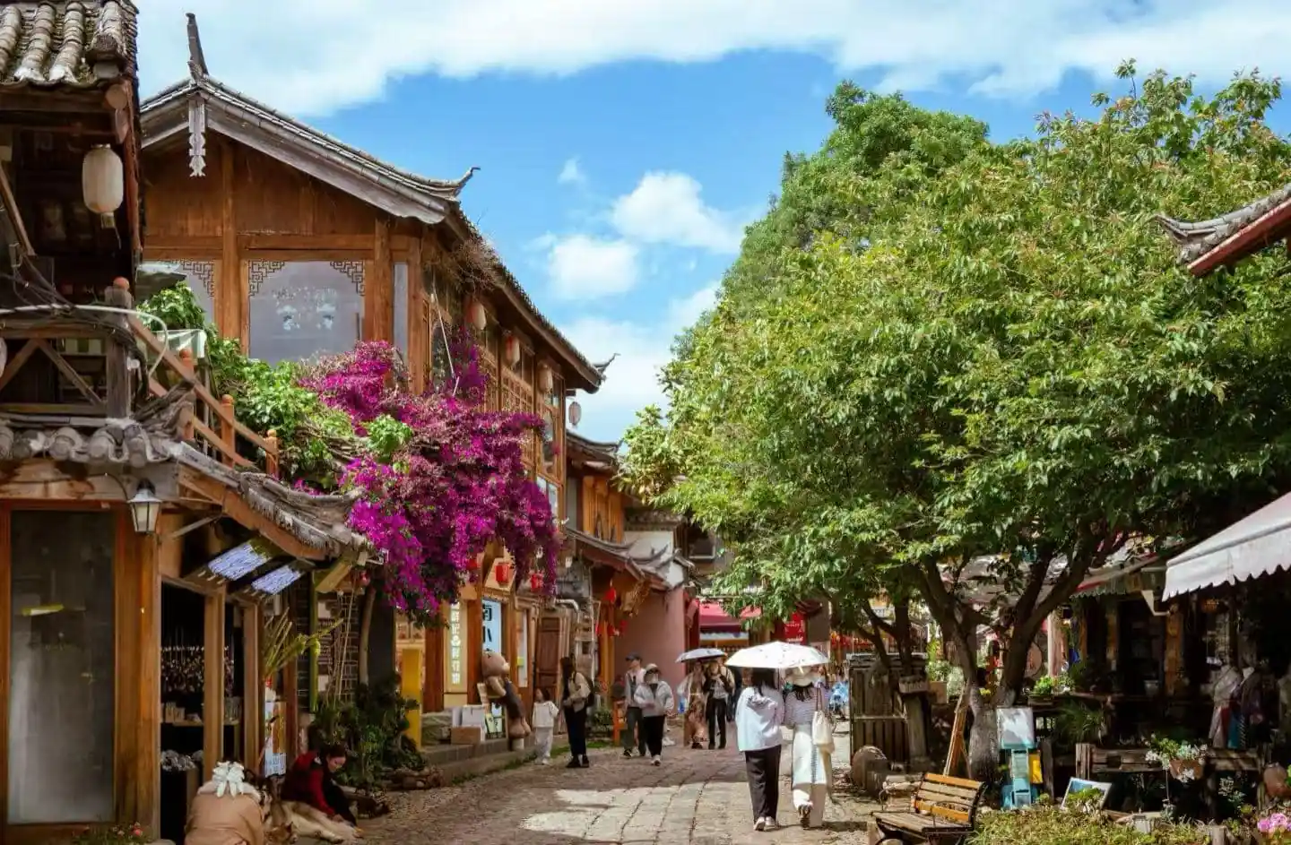 Cobblestone street lined with traditional wooden shops, vivid purple bougainvillea, and green trees on a sunny day, with people strolling.Shuhe Ancient Town,Lijiang,Yunnan,Chinatravel