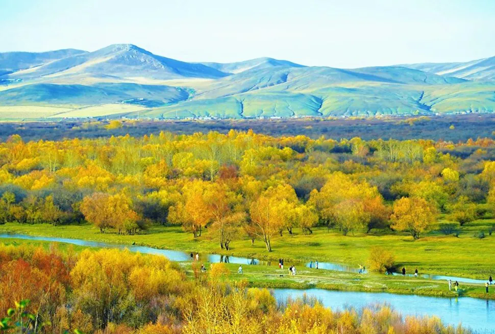 Hulunbuir Ergun Wetland,Hulunbuir,Chinatour Fall landscape with yellow and orange trees along a winding river, rolling fields and distant blue mountains.
