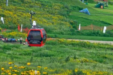 Vanke Lake Songhua Resort,Jilin,Chinatravel Red gondola cabin labeled Lake Songhua Resort, on a grassy hillside with yellow flowers nearby.