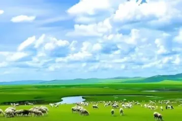 Hulunbuir Grassland,Hulunbuir,Chinatour Green pasture with a flock of sheep grazing under a blue sky with fluffy clouds.