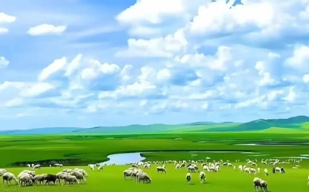 Hulunbuir Grassland,Hulunbuir,Chinatour Green pasture with a flock of sheep grazing under a blue sky with fluffy clouds.