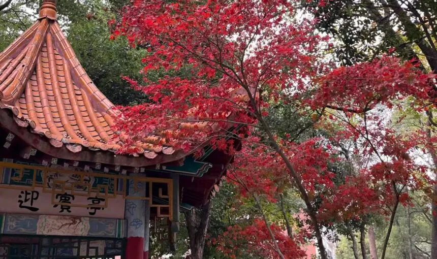 How to Enjoy Walking and Running at Changsha Xingsha Ecological Park