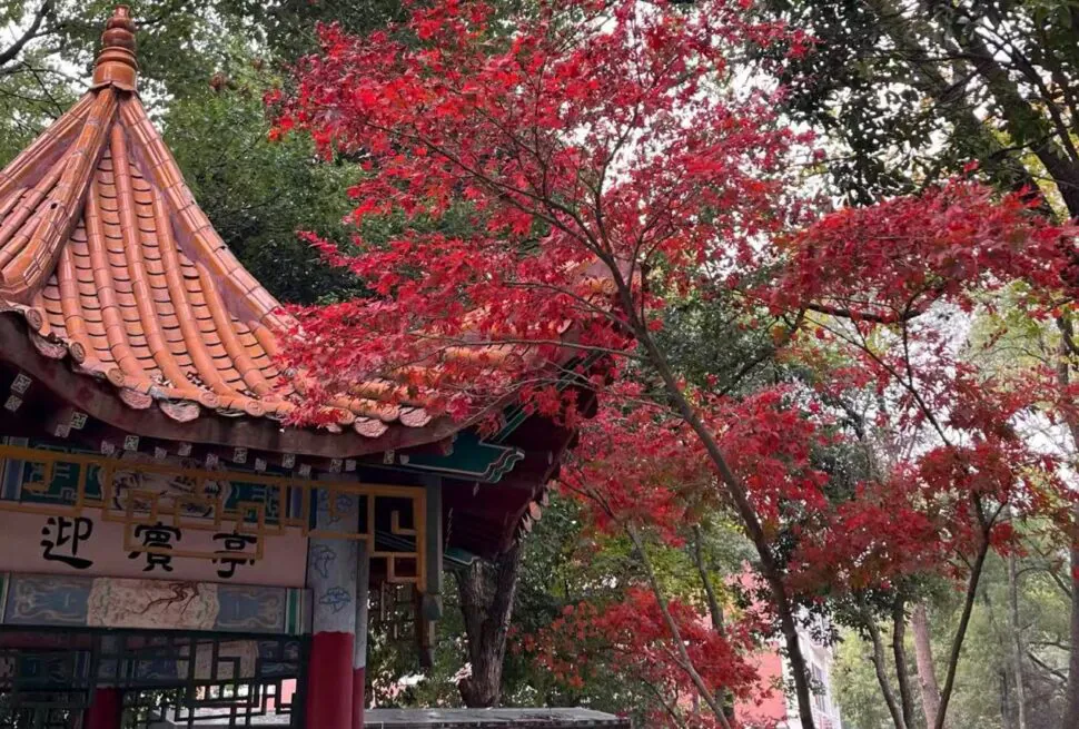 Xingsha Ecological Park,Changsha,Hunan ,Chinatravel